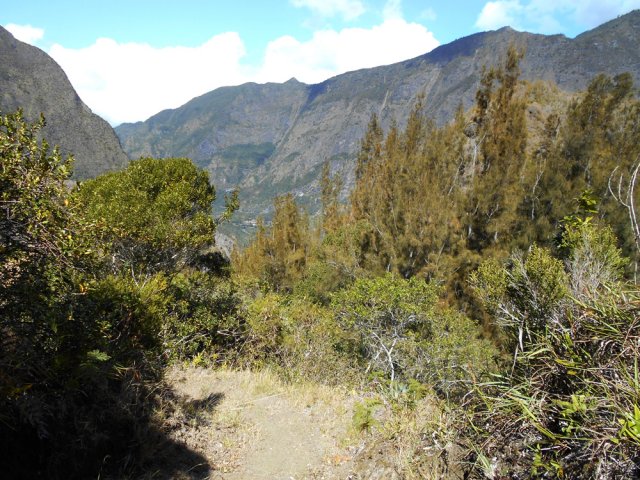 Sentier sableux comportant quelques marches