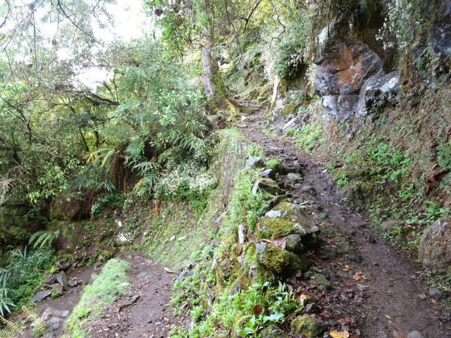 Nouveaux lacets bien aménagés