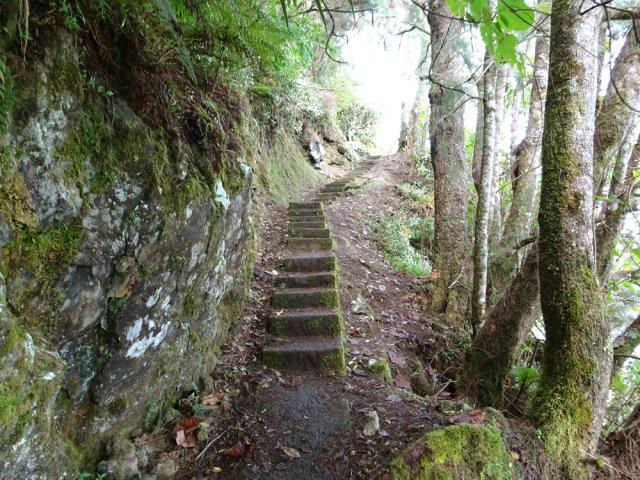 Les escaliers annoncent la fin proche de la montée vers Bélouve
