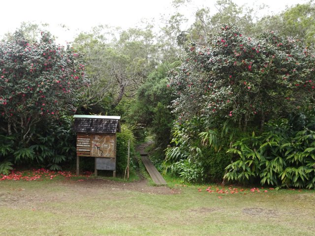 Le début du sentier du Trou de Fer près du gîte