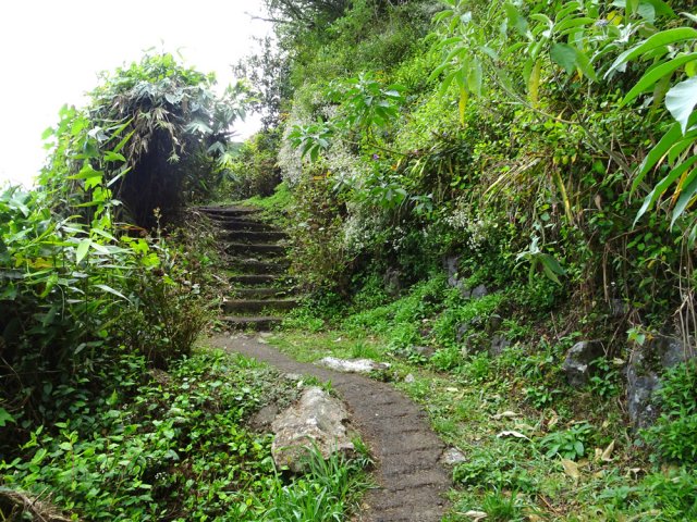 Les premières marches. Il y en aura beaucoup jusqu'au gîte