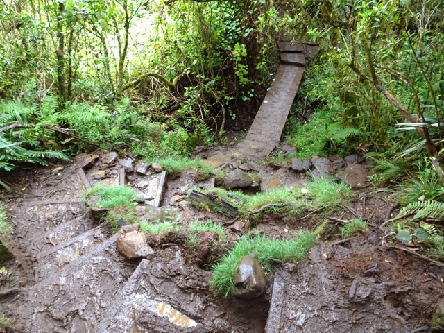 Attention à la descente vers la ravine, très glissante et boueuse