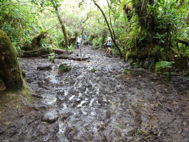 La largeur du sentier boueux augmente chaque année
