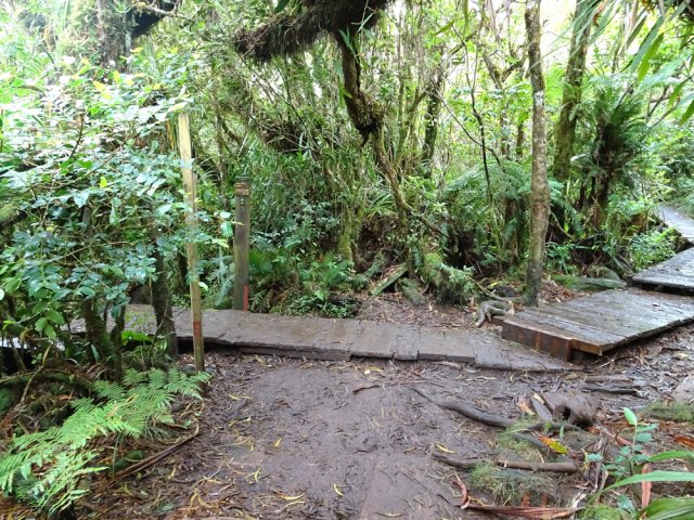 L'arrivée au croisement vers le Trou de Fer et le Sentier de l'Ecole Normale