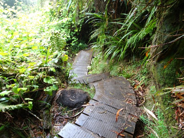 La descente au belvédère comporte quelques parties pentues, mais sur marches