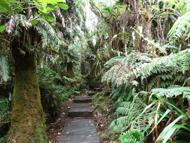 Retour par le sentier de l'Ecole Normale, très souvent sur planchers