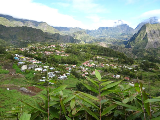 On voit jusqu'au Col des Bœufs et Grand Îlet à travers les bambous balai