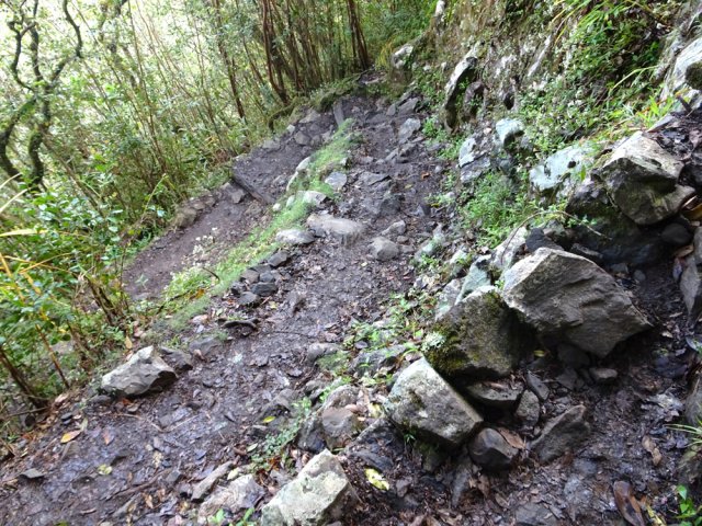 Les lacets sont courts, serrés et souvent humides