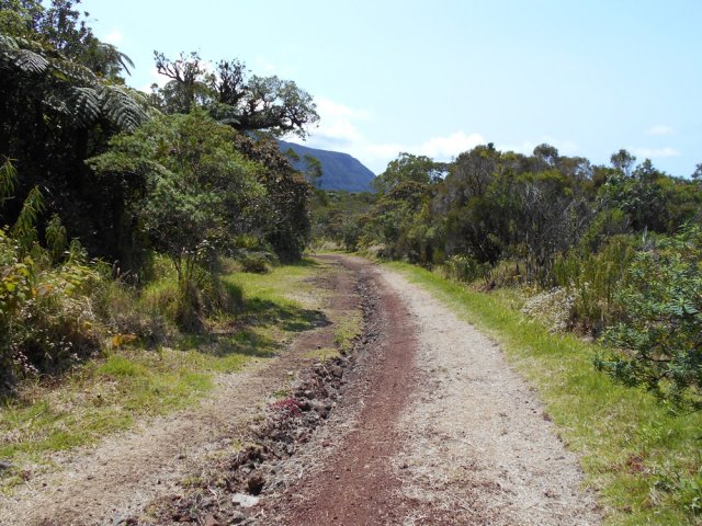 Elle est ravinée par endroits mais sans gêner les marcheurs