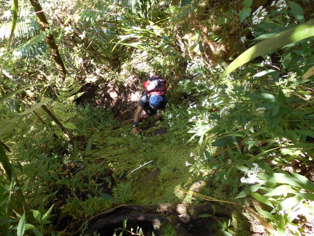 Les canyonistes ont bien aménagé les parties verticales