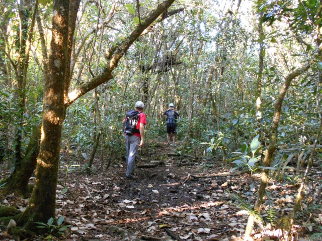 Quelques portions boueuses dues au sol plat qui conserve l'eau