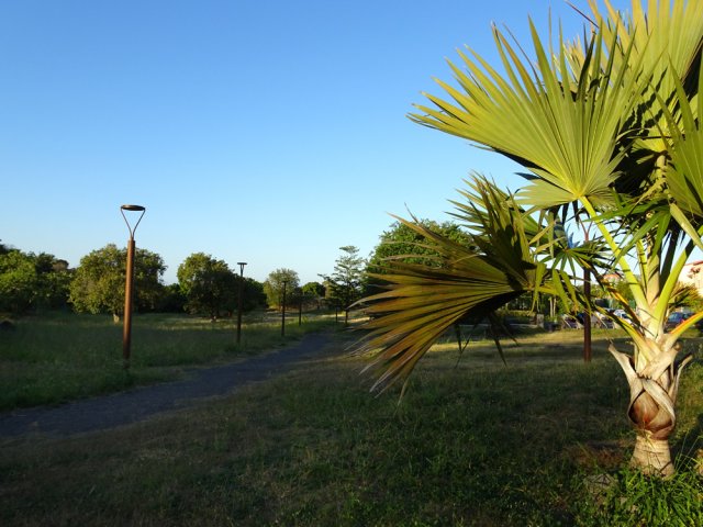 Traversée du petit parc arboré