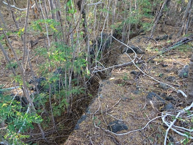Le petit canal envahi par les plantes alimentait sans doute le Canal St-Etienne