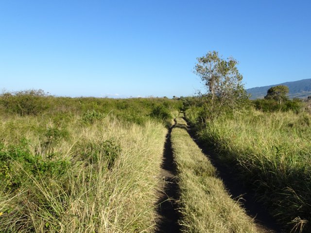 Nouvelle piste en direction de la Ravine des Cabris