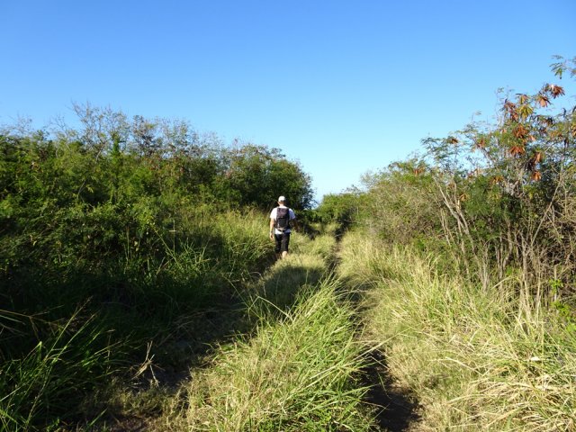 Elle se poursuit vers le sud en longeant la ravine