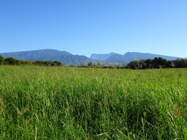 De grandes prairies fauchées régulièrement