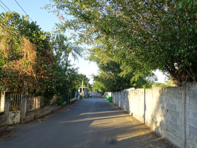Le Chemin Palma est une rue calme de Bois d'Olives