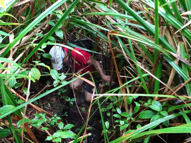 Quelques rares passages imposent de se baisser sans nécessairement ramper