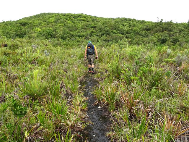 On retrouve, à mi parcours, des coulées plus larges avec la végétation du bas