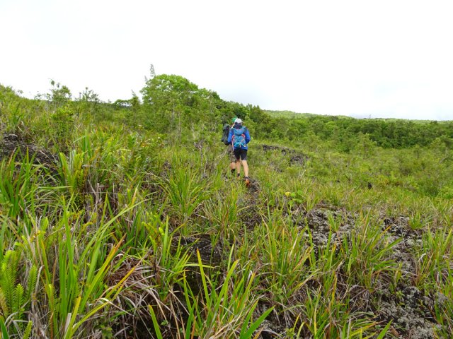 La végétation est rase, clairsemée et le sentier reste encore très facile à suivre