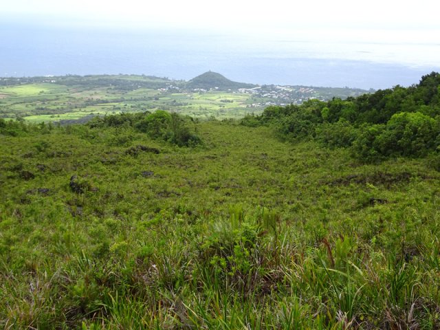 Panoramas sur le Piton de Sainte-Rose et les champs de canne
