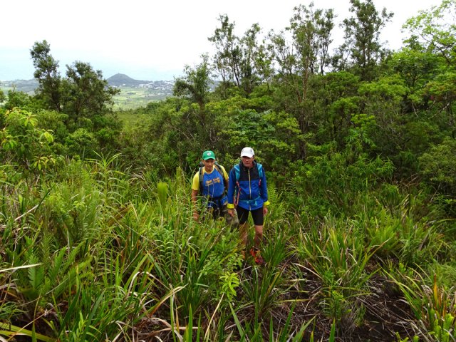 Certaines parties, moins touchées par la coulée, comportent des arbres