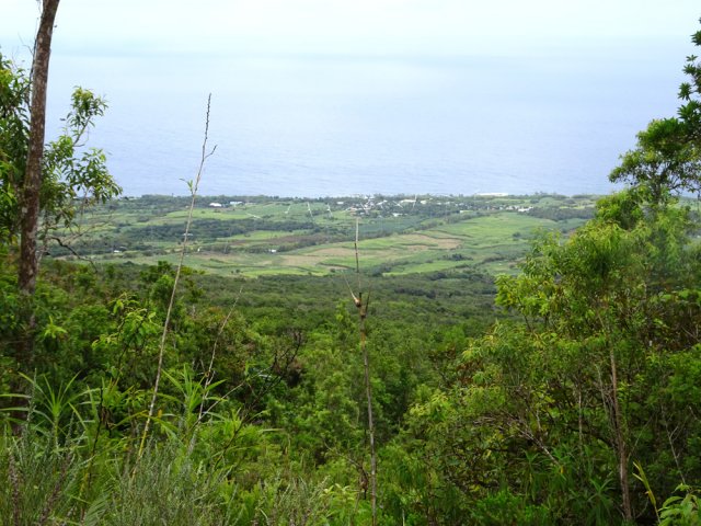 Points de vue sur les éoliennes de Piton Sainte-Rose