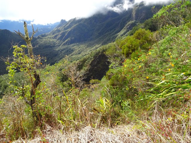 L'aval de la vallée de la Rivière des Fleurs Jaunes