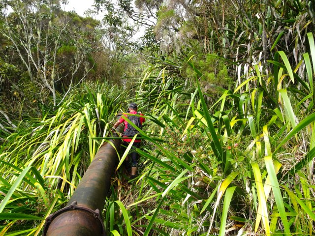 Plus haut, les sabres ont pris le relais