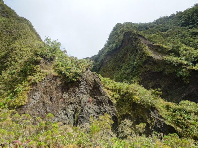 La vallée de la Rivière des Fleurs Jaunes depuis la Ravine des Merles