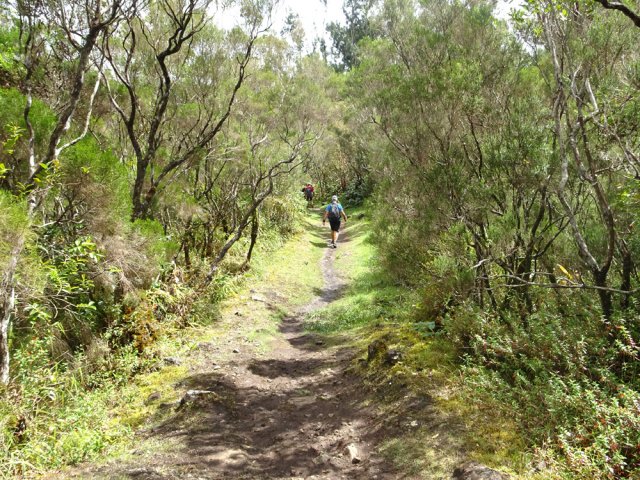 Balade facile quand il n'y a pas de lacets