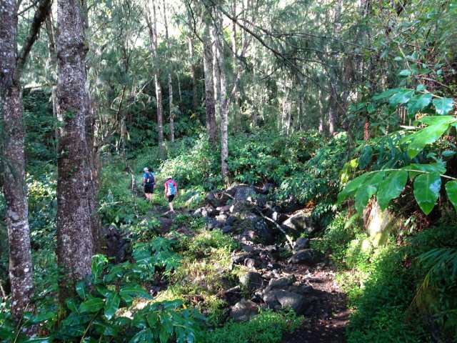 Traversée de la Ravine de Camp Pierrot