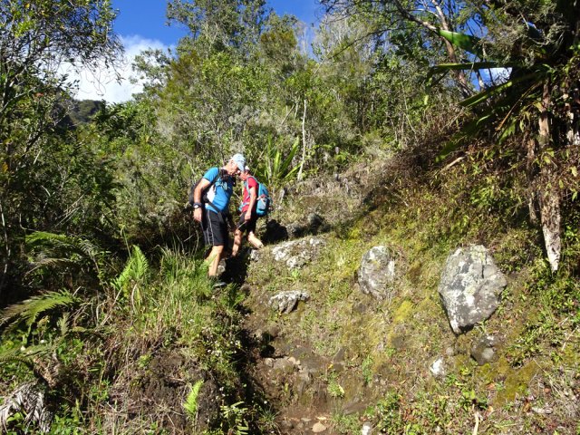 Une idée du sentier dans une de ses rares portions plates