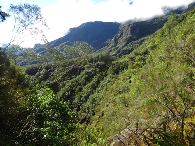 Points de vue nombreux sur la vallée de la Ravine des Fleurs Jaunes