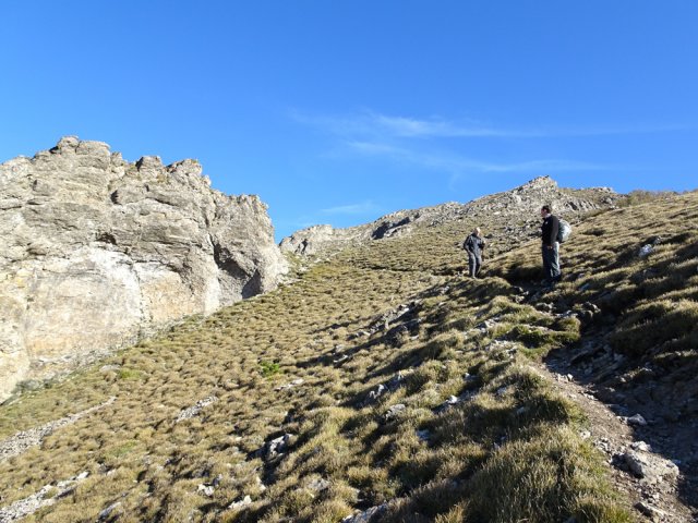 Pas de végétation à plus de 1000 m