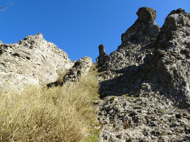 Les paysages sauvages sont de toute beauté