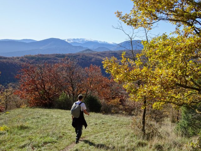 Arrivée aux premières prairies occupées par des chevaux