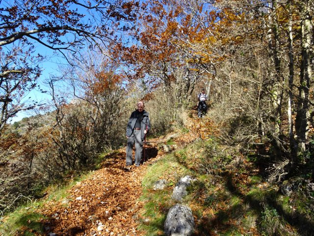 Agréable sentier sous les chênes et les hêtres