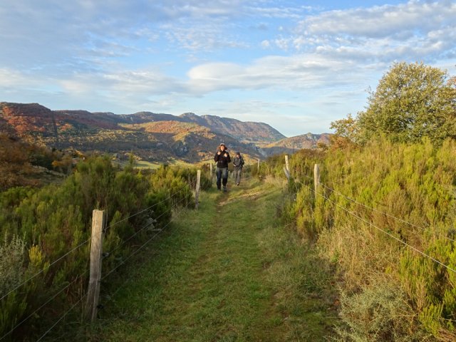Le GR est bien délimité entre des clôtures