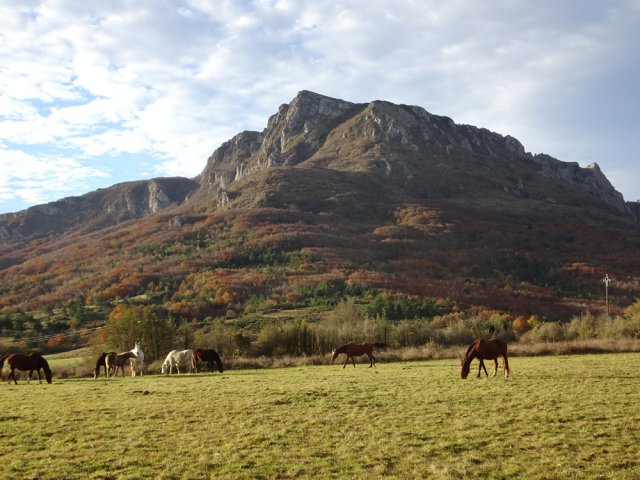 La face nord du Pech de Bugarach vue depuis les prairies
