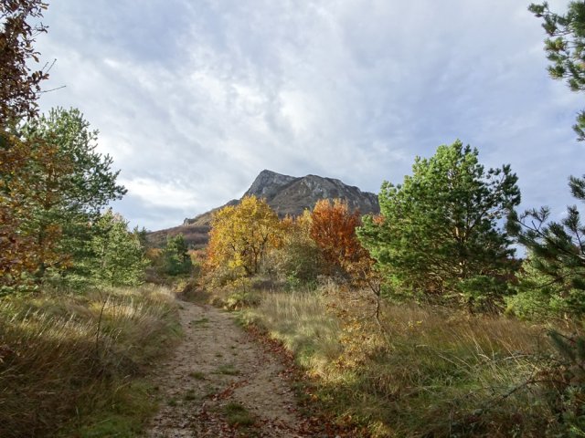 L'agréable chemin longeant les Plégadous