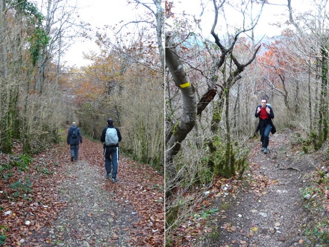 Peu ou pas de fortes montées pour débuter