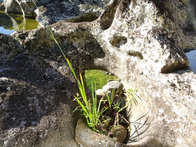 Une autre trouée créant une nature morte