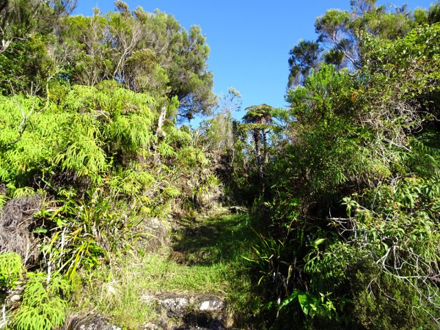 Emprunter le sentier en rive droite pour revenir à la route