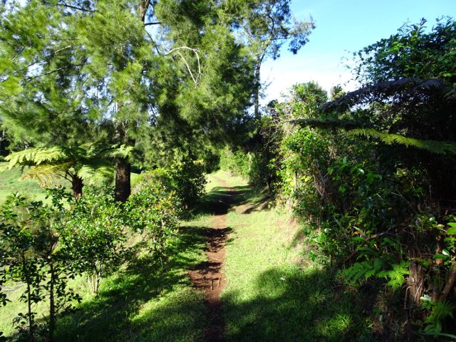 Un agréable sentier longe la Ravine Sèche