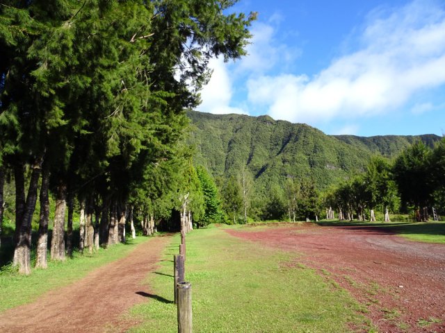 Balade sous les filaos le long du stade