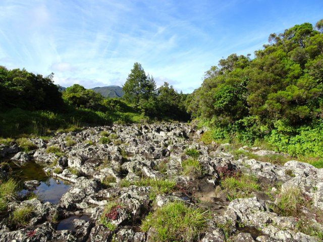 La Ravine Sèche vue du radier