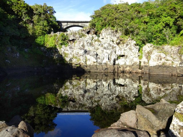 On peut s'approcher au plus près du bassin