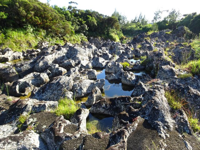 Le sentier, en partie bétonné, passe près de nombreuses retenues d'eau