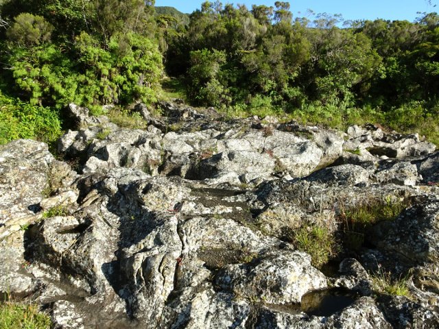Le sentier en rive droite que l'on rejoint facilement